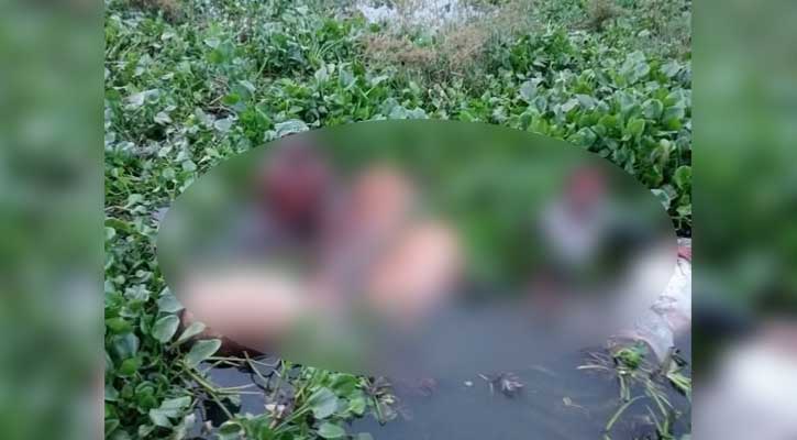 মুন্সীগঞ্জে জোয়ারের তোড়ে ভেসে গেল শতাধিক গরু