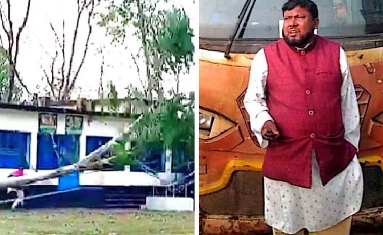 অনুমতি ছাড়াই গাছ কাটে মাদ্রাসার সুপার
