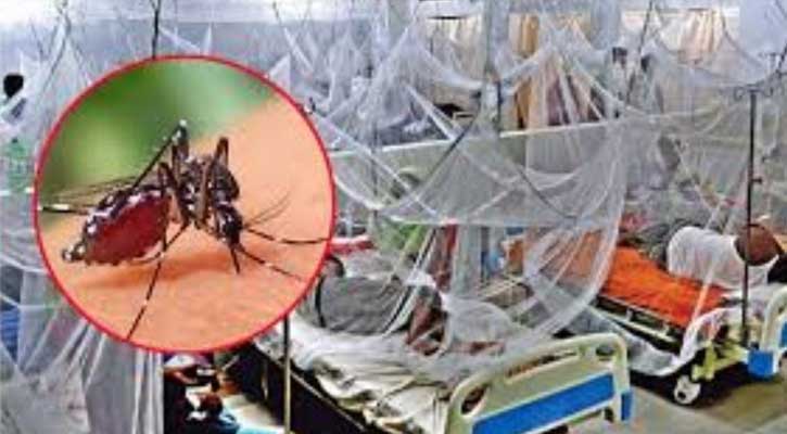দেশে ২৪ ঘণ্টায় ডেঙ্গু আক্রান্ত ২৮৮, বরিশালেই ২৬১ জন