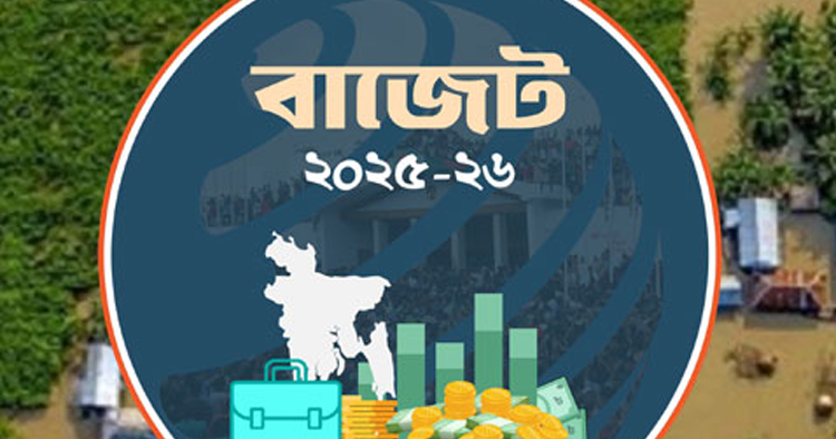 জলবায়ু মোকাবিলায় বাজেটে ১০০ কোটি টাকা বরাদ্দ
