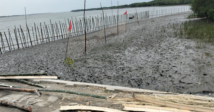 বিএনপি নেতার নাম ভাঙ্গিয়ে শ্যামনগরে নদীর চর দখলের চেষ্টা 