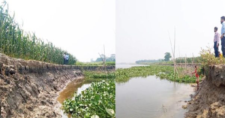 চাঁদপুরে ধনাগোদা নদীর ভাঙনে হুমকির মুখে ফসলি জমি, ঘরবাড়ি- দুঃশ্চিন্তায় এলাকাবাসী