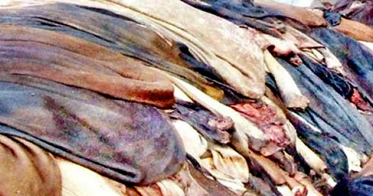 এবার চট্রগ্রামে চামড়া সংগ্রহের লক্ষ্যমাত্রা সাড়ে চার লাখ