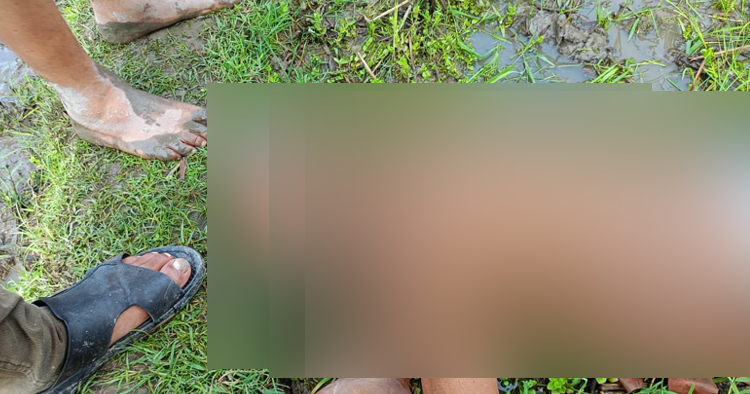 বিজয়নগরে অজ্ঞাত বৃদ্ধের লাশ উদ্ধার
