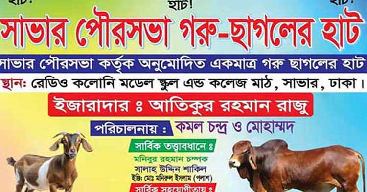 সাভারে পশুর হাট ইজারার শর্ত ভঙ্গ ;প্রশাসনের উচ্ছেদ