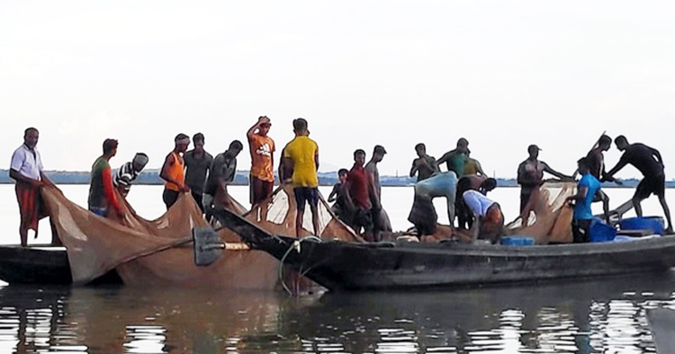 অবৈধ মৎস্য শিকারিদের কবলে হাকালুকি হাওর 