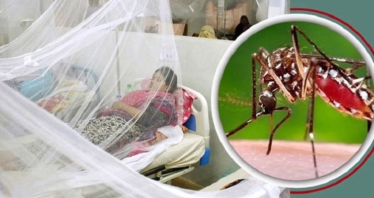 ডেঙ্গুতে ২৪ ঘণ্টায় মৃত্যু ৫ জনের