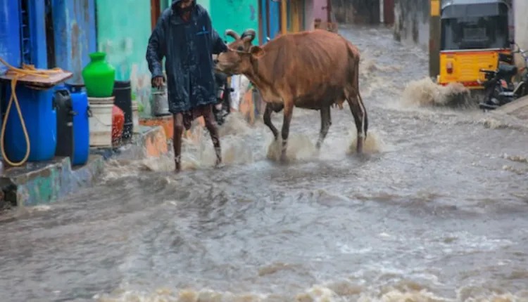 তামিলনাড়ুতে বন্যা, মৃত্যু ১