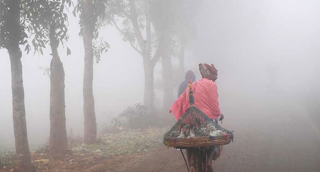শীত বেশি অনুভূত হওয়ার কারণ যা জানা গেলো!