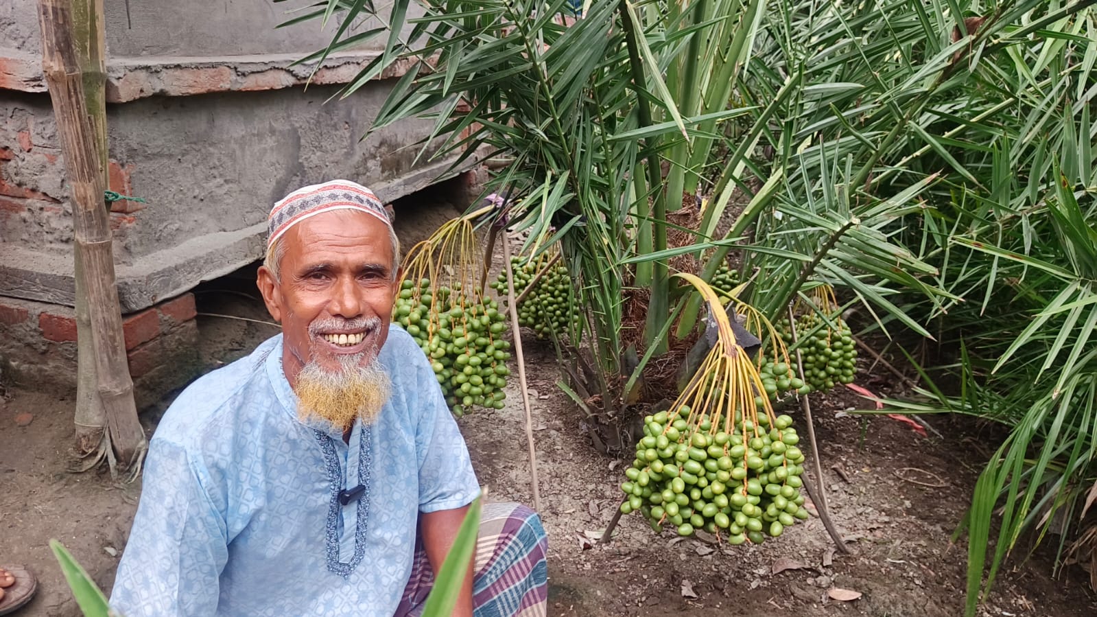 বাহরাইন থেকে ফিরে খেজুরে স্বপ্ন বুনছেন সাতক্ষীরার শোকর আলী
