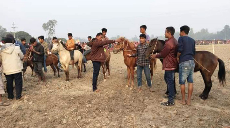 পীরগাছায় ঘোড়ার দৌড় প্রতিযোগিতা অনুষ্ঠিত