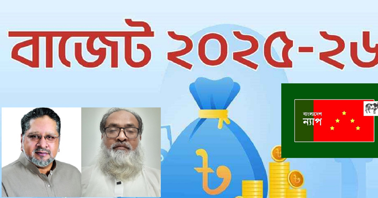 বাজেটের আকার কমলেও পুরোনো কাঠামো অক্ষুন্ন : বাংলাদেশ ন্যাপ