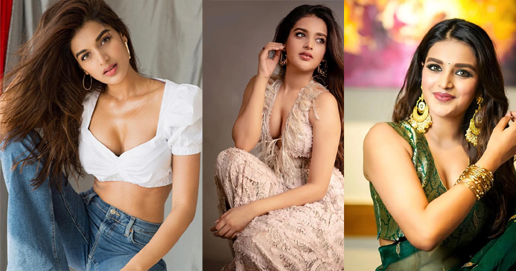 বলিউডের পর দক্ষিণে ঝলমক নিধি আগরওয়াল, স্টাইলেও নজরকাড়া উপস্থিতি