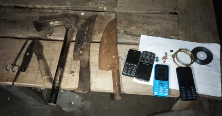 সেনাবাহিনীর অভিযানে গাঁজার গাছ ও দেশীয় অস্ত্র উদ্ধার