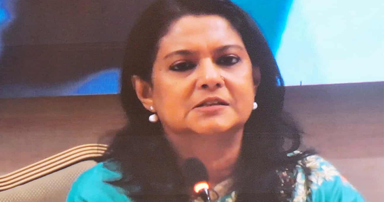 বৈশ্বিক প্রতিশ্রুতি ছাড়া টেকসই বিনিয়োগ সম্ভব নয়: সৈয়দা রিজওয়ানা হাসান