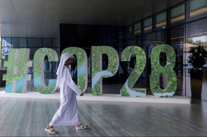 COP28: France, Japan to support African development bank push to leverage SDRs
