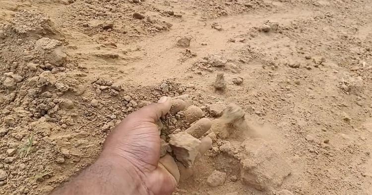সুনামগঞ্জে ফসলরক্ষা বাঁধের কাজে অনিয়ম, ফসলহানির আশঙ্কা কৃষকদের
