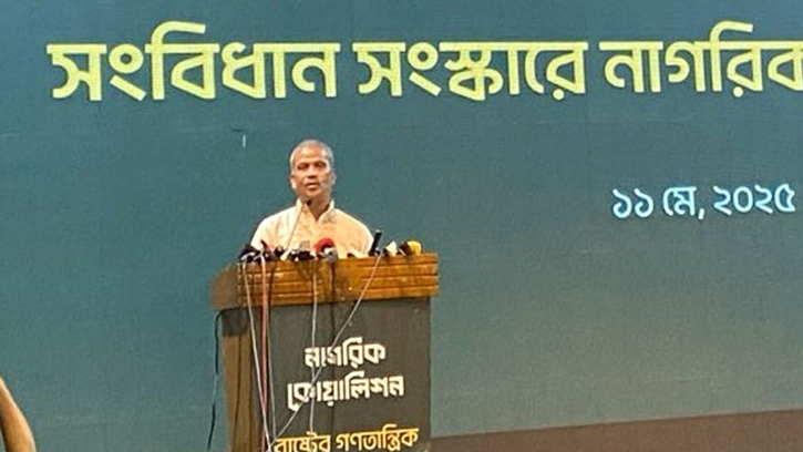 নতুন সংবিধান প্রণয়ন হতে অনেক সময় লাগবে: আসিফ নজরুল