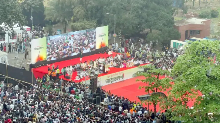জাতীয় নাগরিক পার্টিকে 'কিংস পার্টি' বলা হচ্ছে কেন?