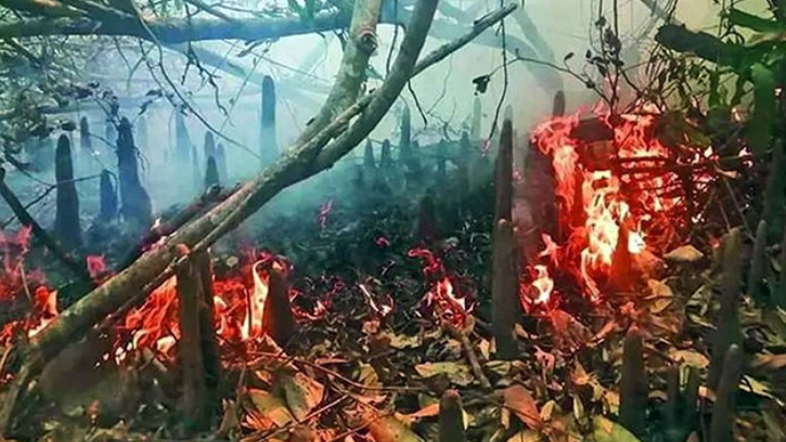 সুন্দরবনের কলমতেজী ফরেস্ট টহল ফাঁড়ি এলাকায় আগুন