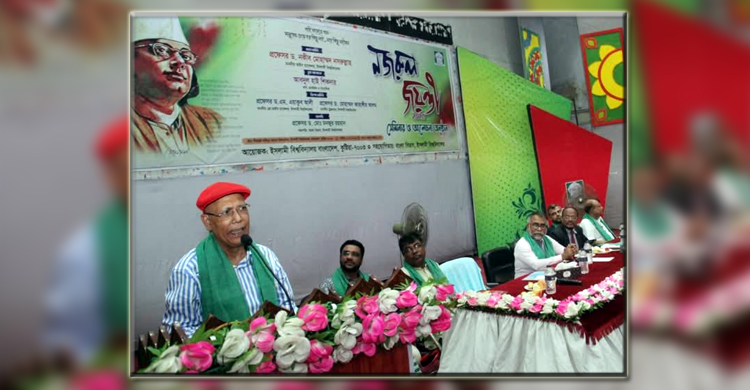 জুলাই আন্দোলনকারীরা প্রত্যেকে একেকজন নজরুলে পরিণত হয়েছিল: আবদুল হাই শিকদার
