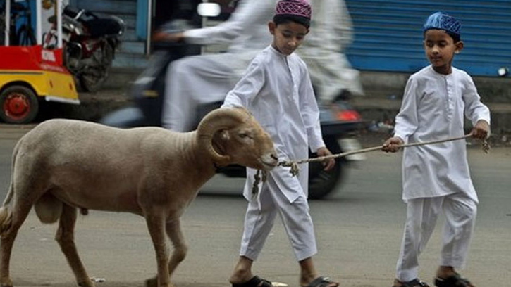 কোরবানি কাদের ওপর ওয়াজিব?