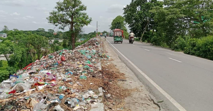 হাজীগঞ্জে সড়কের পাশে ময়লার ভাগাড়, দুর্গন্ধে জীবন অতিষ্ঠ পৌরবাসীর 