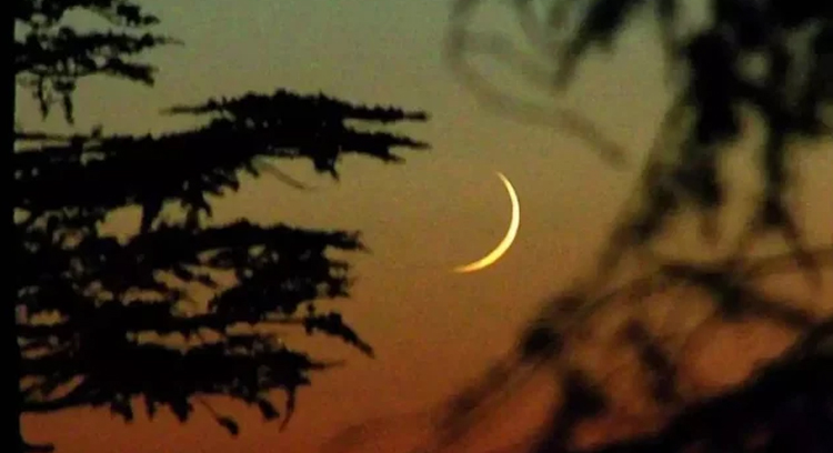 চাঁদ দেখা গেছে, ঈদুল আজহার তারিখ ঘোষণা