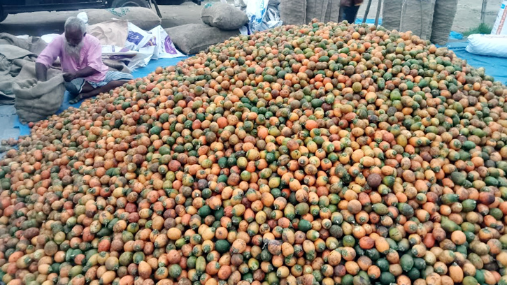 পঞ্চগড়ে দেড় শতকোটি টাকার সুপারি বেচাকেনা  