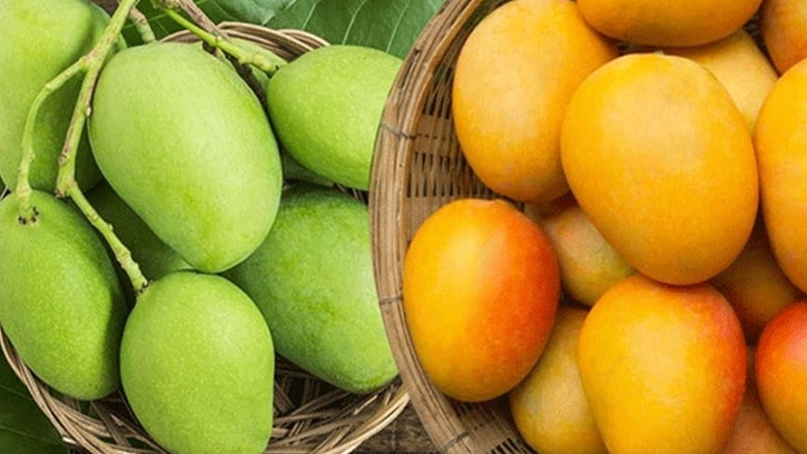ওজন নিয়ন্ত্রণে আম: উপকারী না ক্ষতিকর?