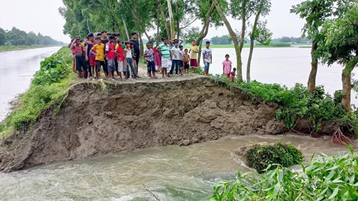 নীলফামারী সদরের তিস্তা সেচ খালের তীর বাঁধ বিধ্বস্ত