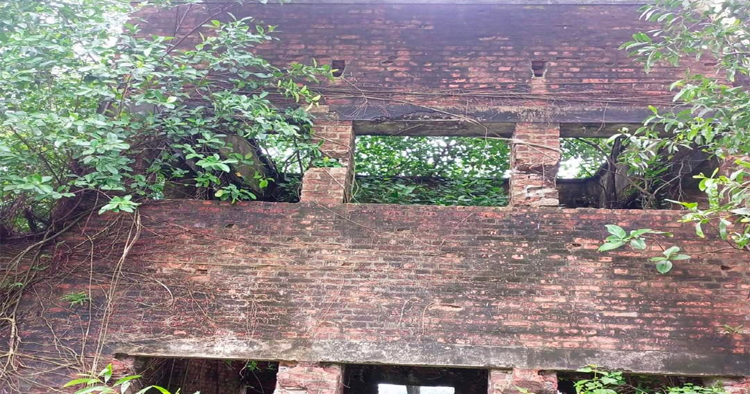 হাটহাজারী বিমানবন্দর: অতীতের স্মৃতি থেকে ভবিষ্যতের বিনোদনকেন্দ্র