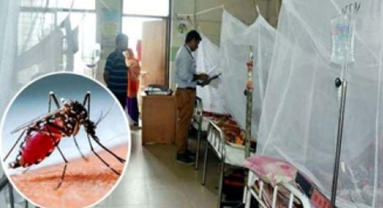 ডেঙ্গু আক্রান্তের সংখ্যা বেড়েই চলছে, নতুন করে ভর্তি ১৫১