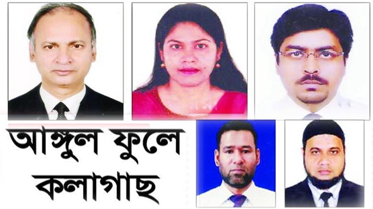 ডিপিডিসিতে স্বৈরাচারের দোসররা: আঙ্গুল ফুলে কলাগাছ