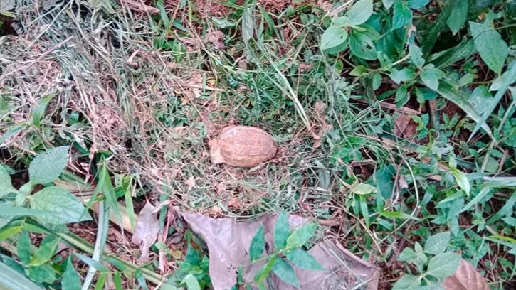বাড়ির আঙ্গিনায় গ্ৰেনেড মিললো 