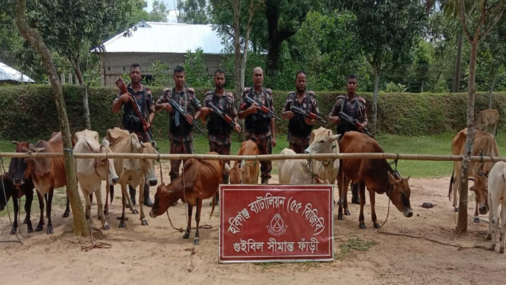 ৫৫ বিজিবি'র সফল অভিযান: কোটি টাকার চোরাচালান পণ্য জব্দ