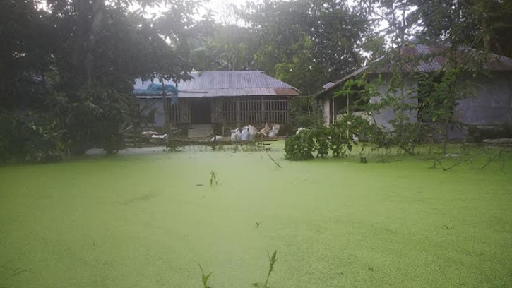 ভবদহে আবারও স্থায়ী জলাবদ্ধতার আশঙ্কা 