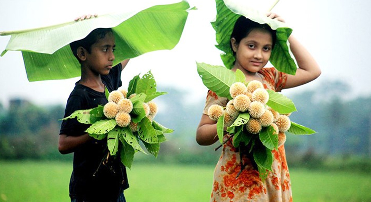 বর্ষার প্রথম দিন আজ