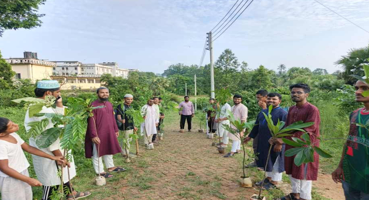 কুবি শাখা ছাত্রশিবিরের বৃক্ষরোপণ কর্মসূচি