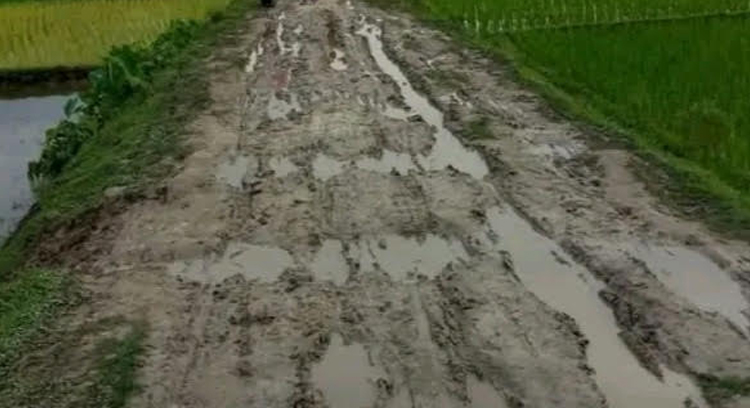 রাস্তাই যেখানে বিয়ের ভরসা, রায়গঞ্জে দুর্ভোগে ৭ গ্রামের মানুষ