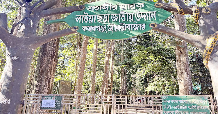 ঈদের ছুটিতে পর্যটকদের বরণে প্রস্তুত মৌলভীবাজার