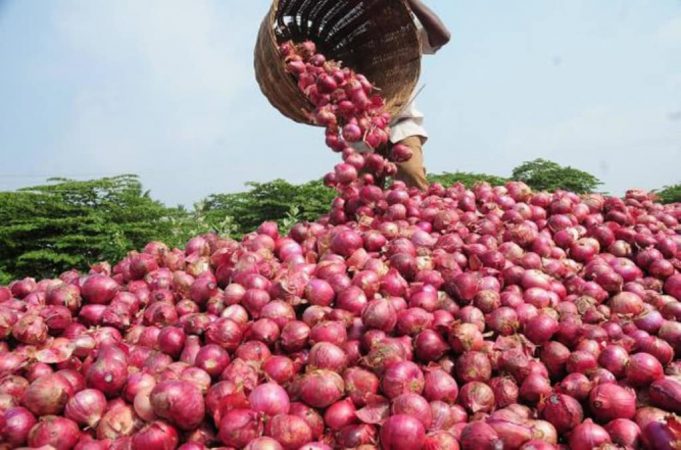 পেঁয়াজ আমদানিতে বিশ্বে প্রথম বাংলাদেশ