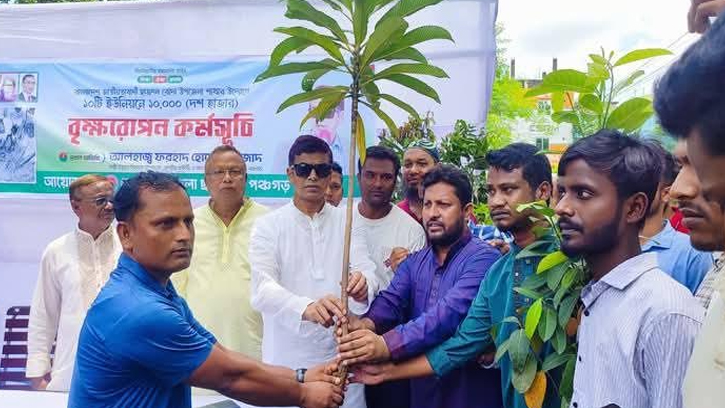 পঞ্চগড়ের বোদায় ছাত্রদলের বৃক্ষরোপন কর্মসূচির উদ্বোধন 
