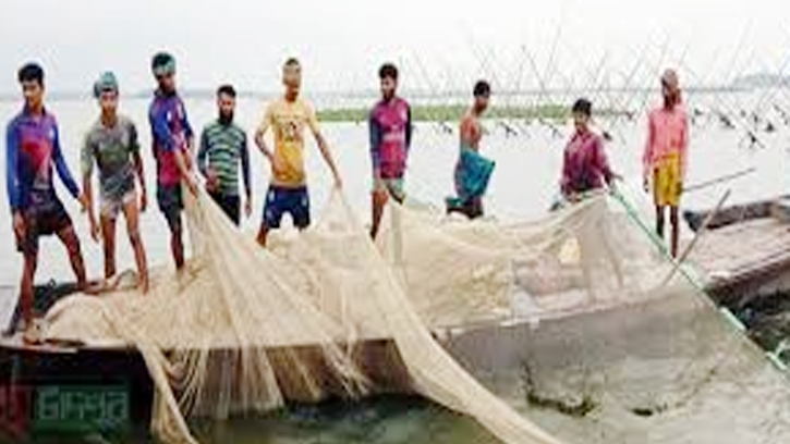 রায়পুরে মেঘনা নদীতে ভরা মৌসুমে নেই ইলিশের দেখা 