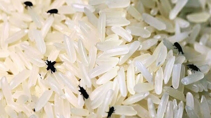 চালের পোকা দূর করার সহজ ঘরোয়া উপায়