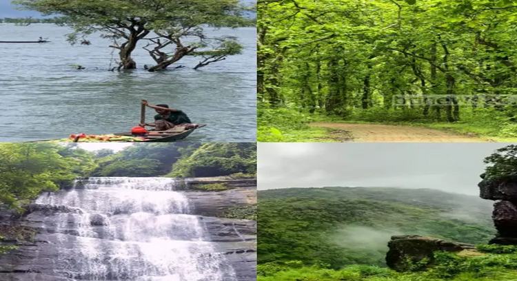 মেঘ, পাহাড় আর চা-বাগানে হারিয়ে যেতে চান? ঘুরে আসুন এই ৫ জায়গা