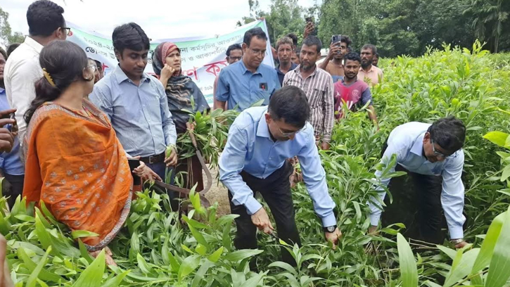 নীলফামারিতে দেড় লাখ ইউক্যালিপটাস ও আকাশমনি গাছের চারা নিধন