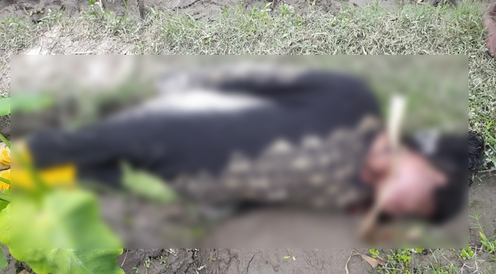 গৌরীপুরে কচুক্ষেত থেকে প্রতিবন্ধী যুবতীর মরদেহ উদ্ধার